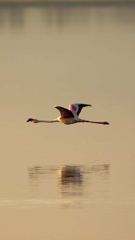 Photograph by Duc de Salier