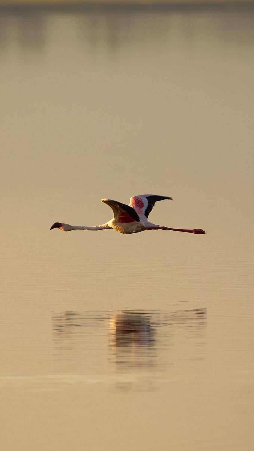 Фотография #13123447