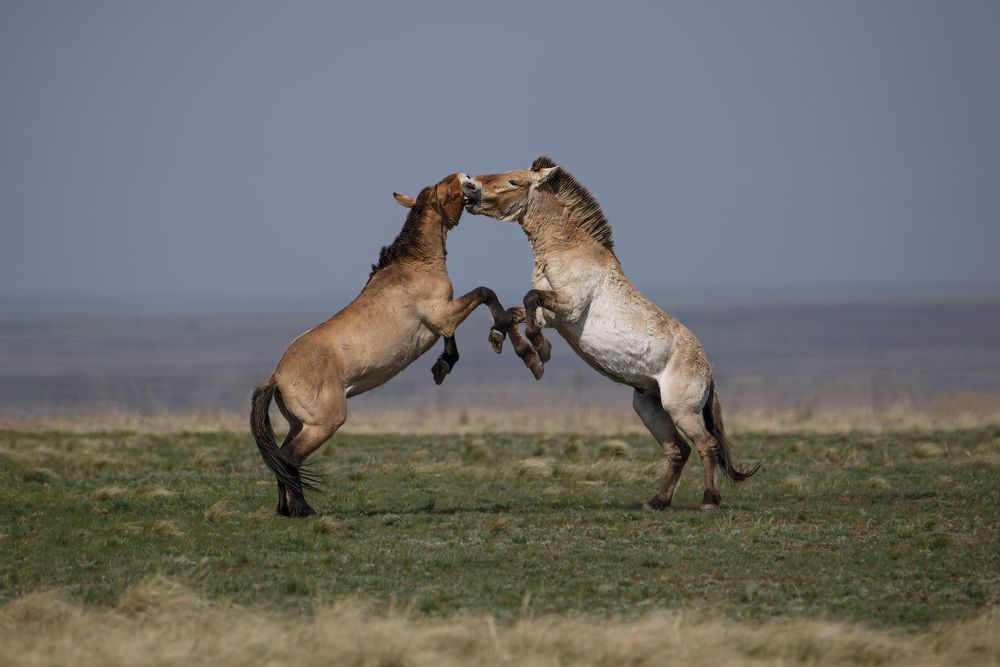Photograph by Александр Ильин