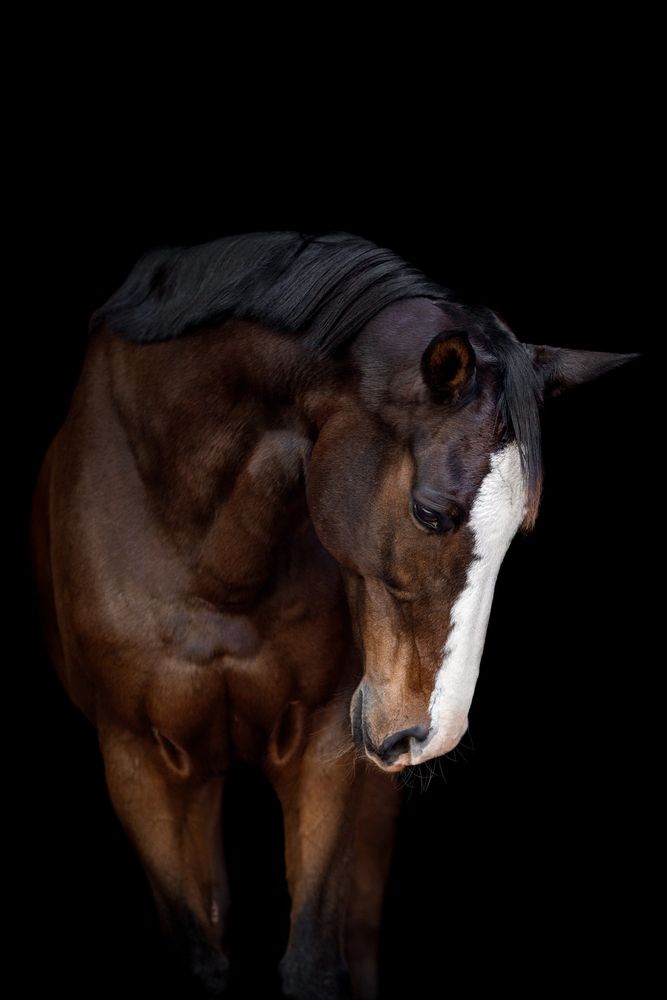 Photograph by Camilla Cintra