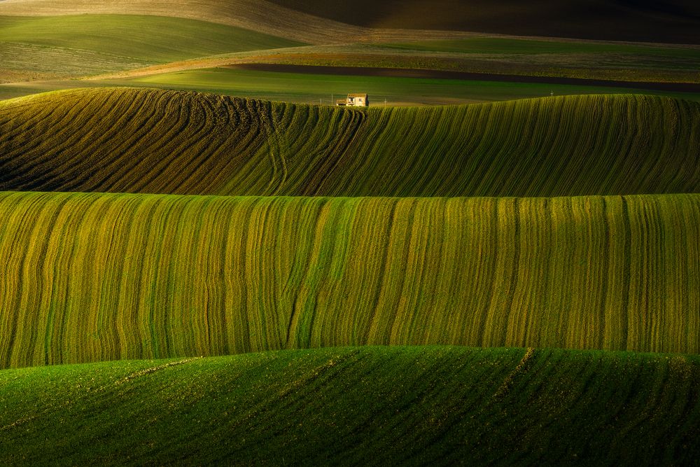 Photograph by Michele Ciaramella