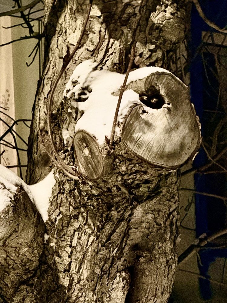 Фотография автора Татьяна