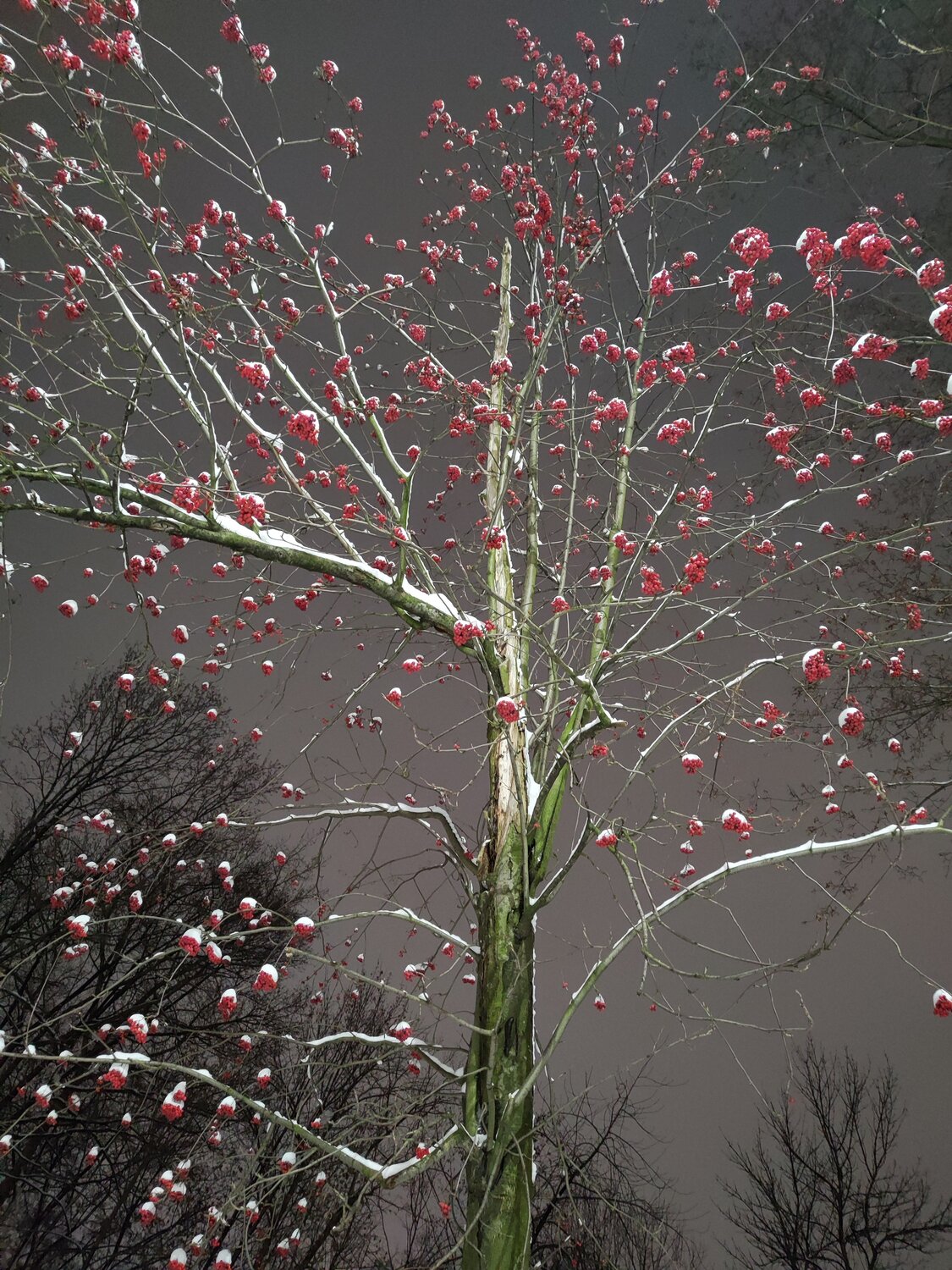 Photo #13123526