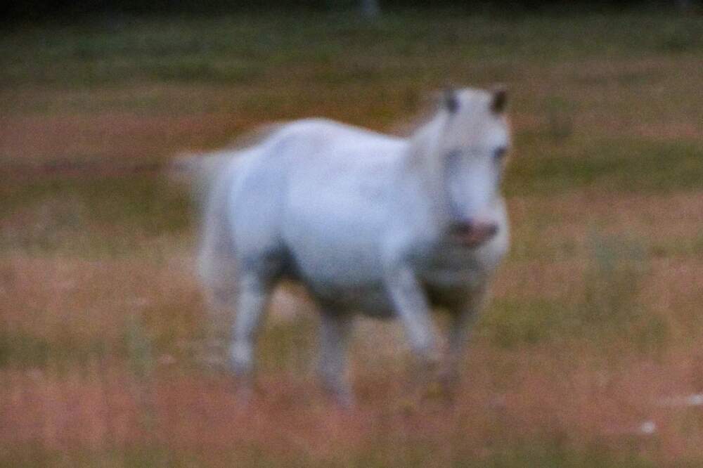 Photograph by Назмутдинова Сауия