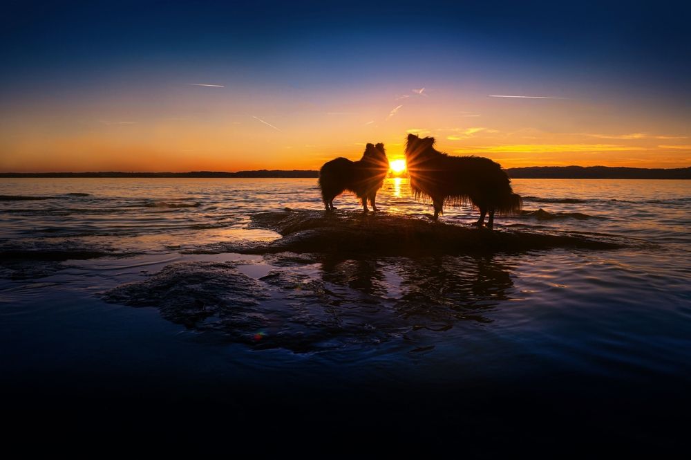 Photograph by Jieyu Xiong