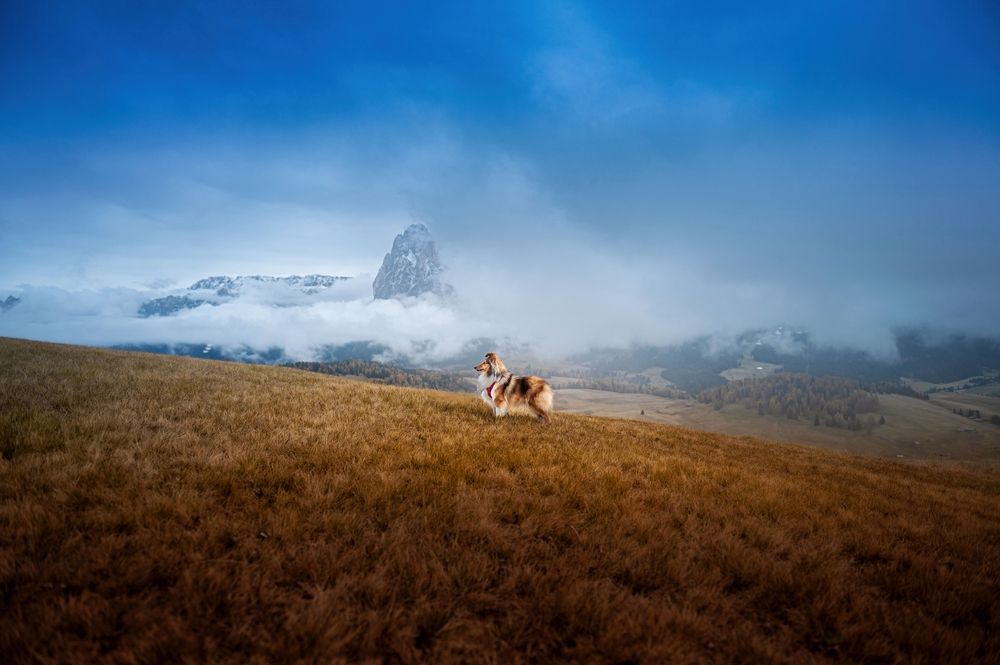 Photograph by Jieyu Xiong