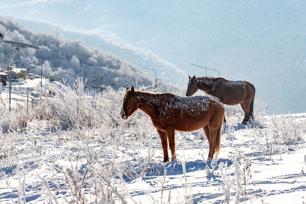 Photograph by Евгений Фонин