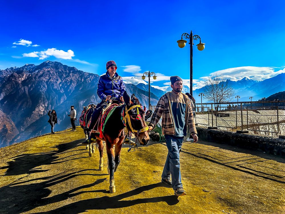 Фотография автора savitri Rawat