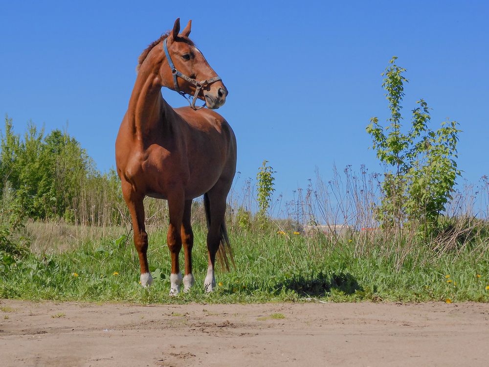 Фотография автора Игорь Смирнов