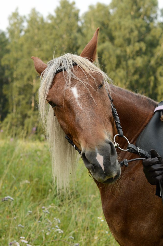 Фотография автора Пенежина Екатерина