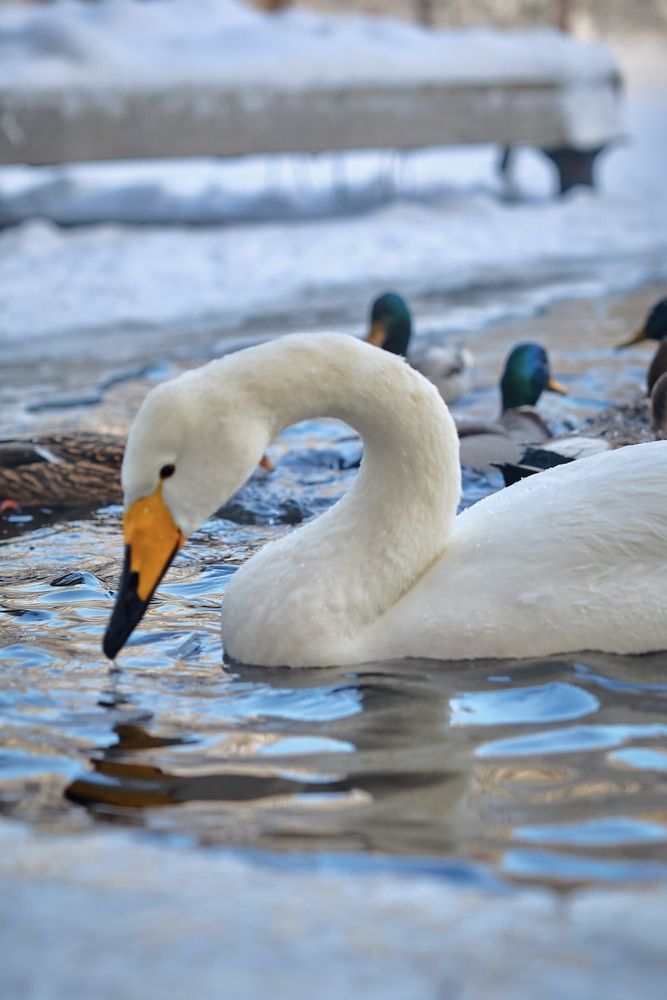Photograph by Воробьева Людмила