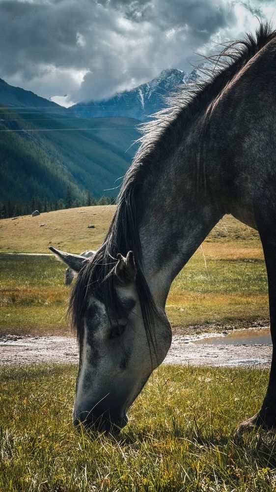 Photograph by Елена Моор