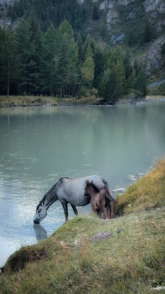Photograph by Елена Моор
