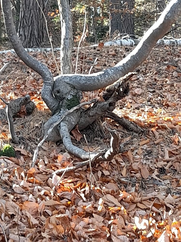 ...from another world....