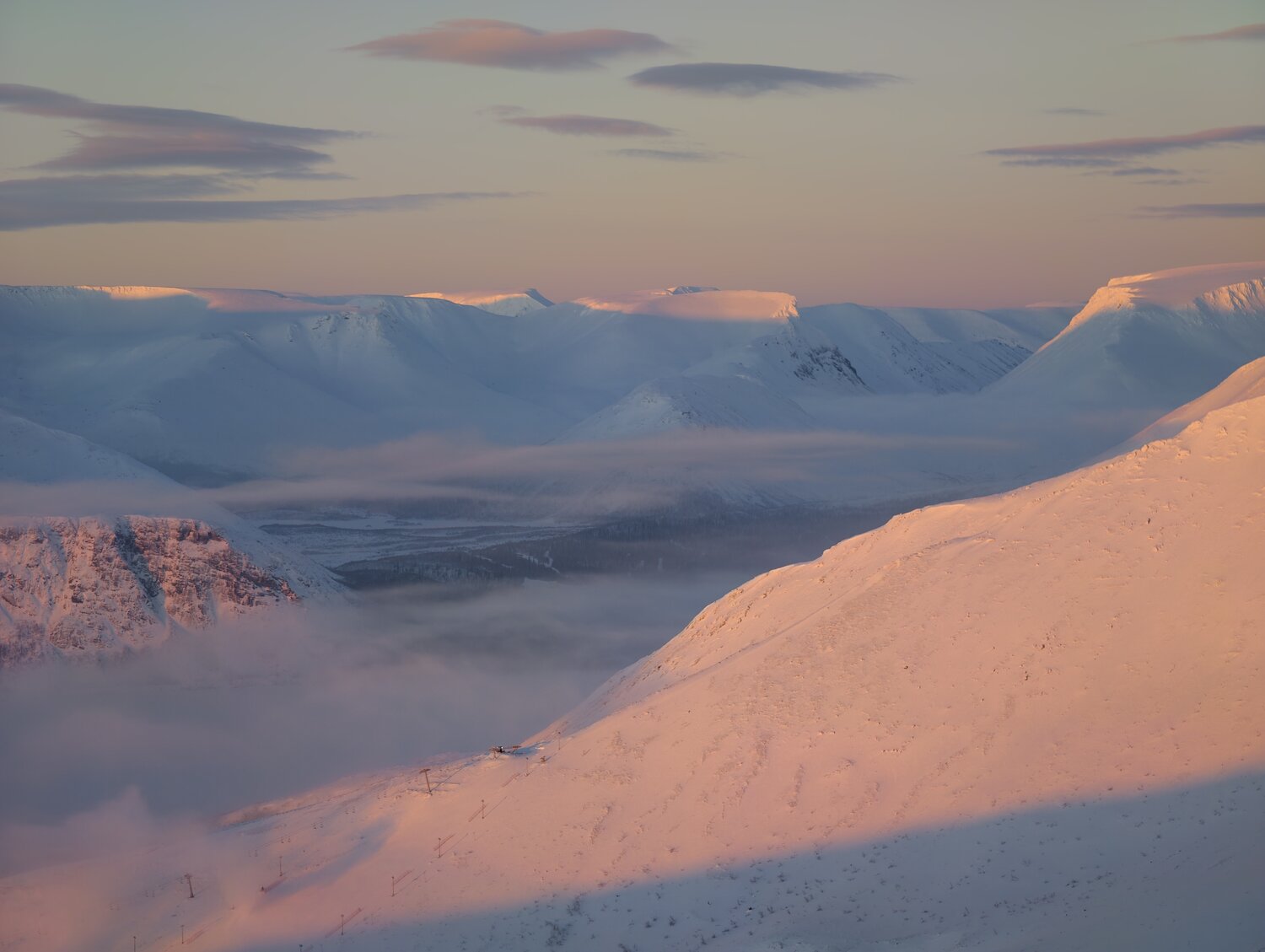 Photo #13123680
