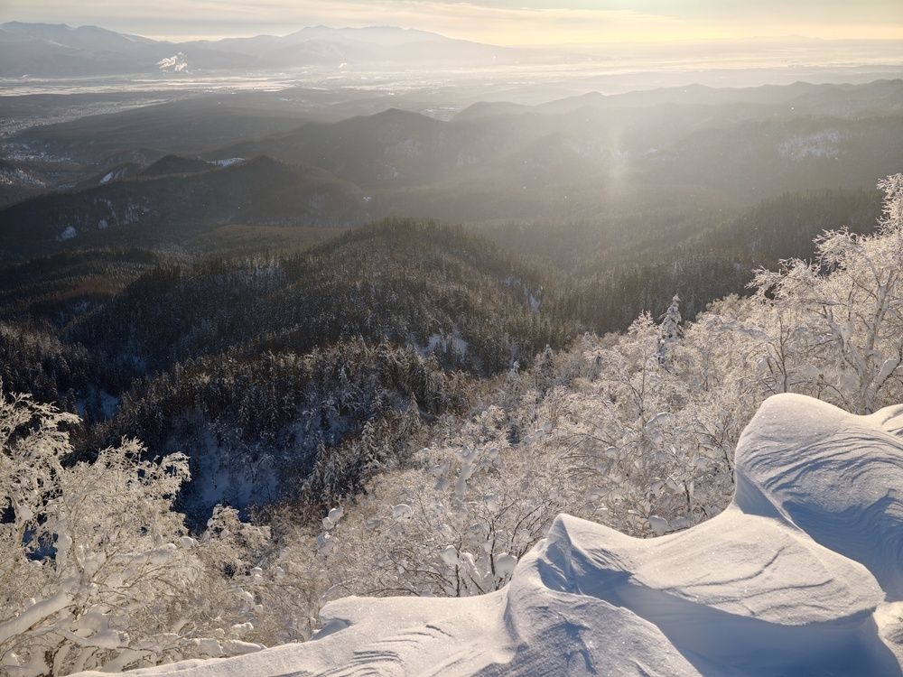 Photo #13123705
