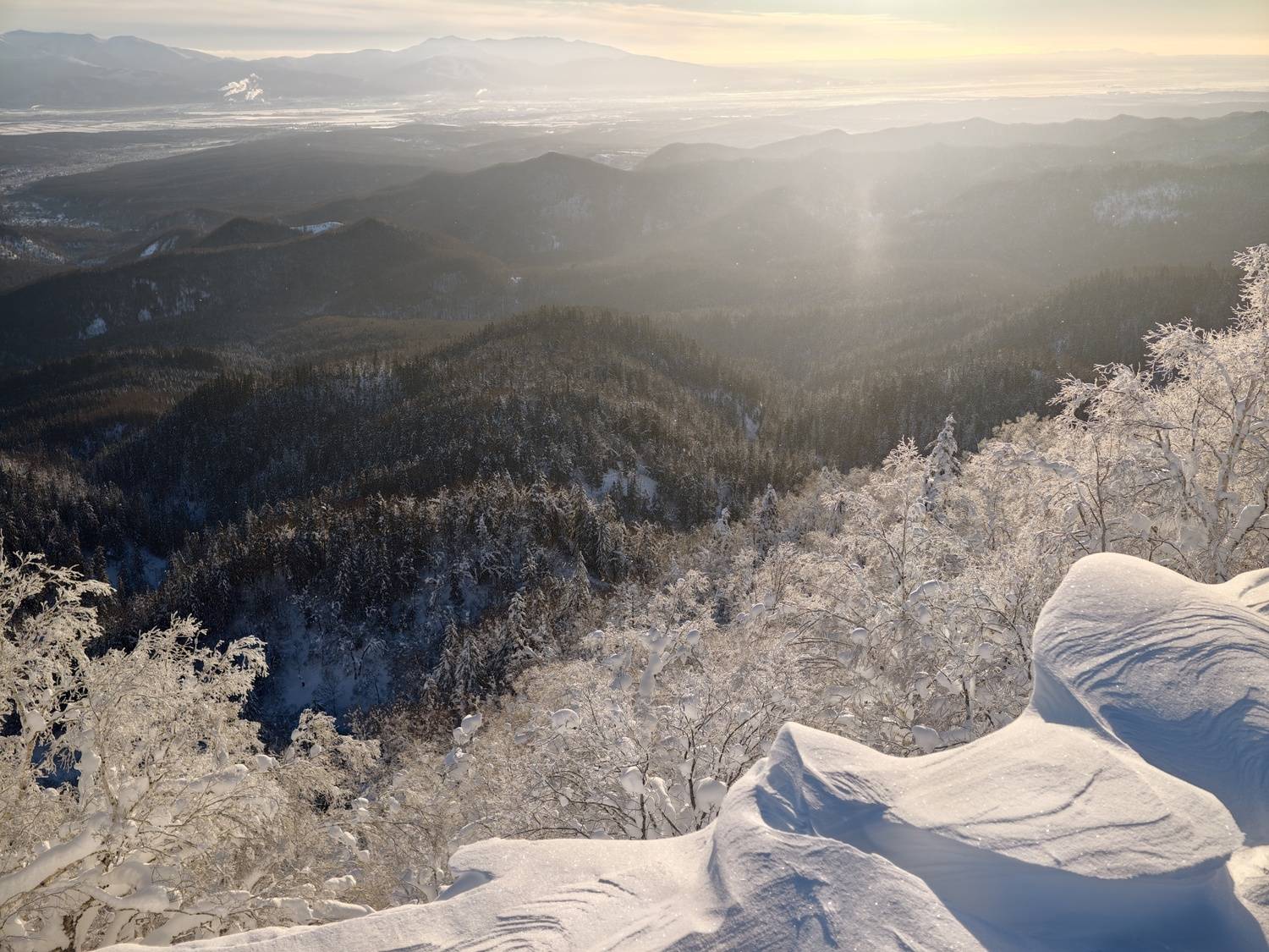 Photo #13123705
