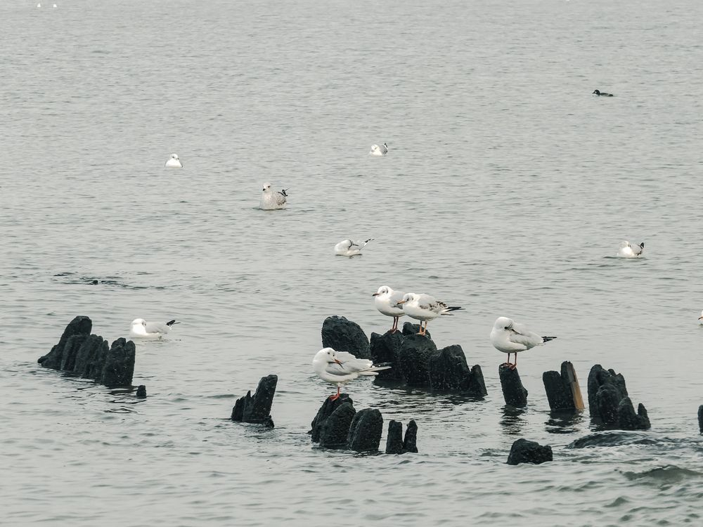 Фотография автора Татьяна Мишкина