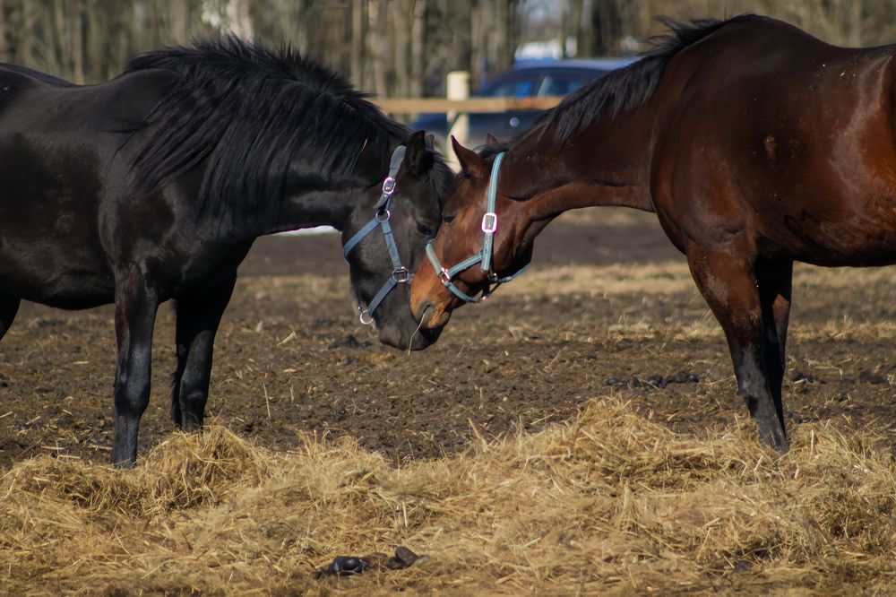 Photograph by Наталья Чураева