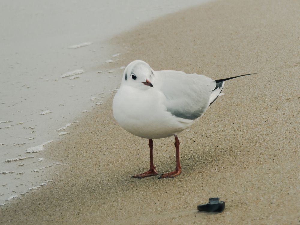 Фотография автора Татьяна Мишкина