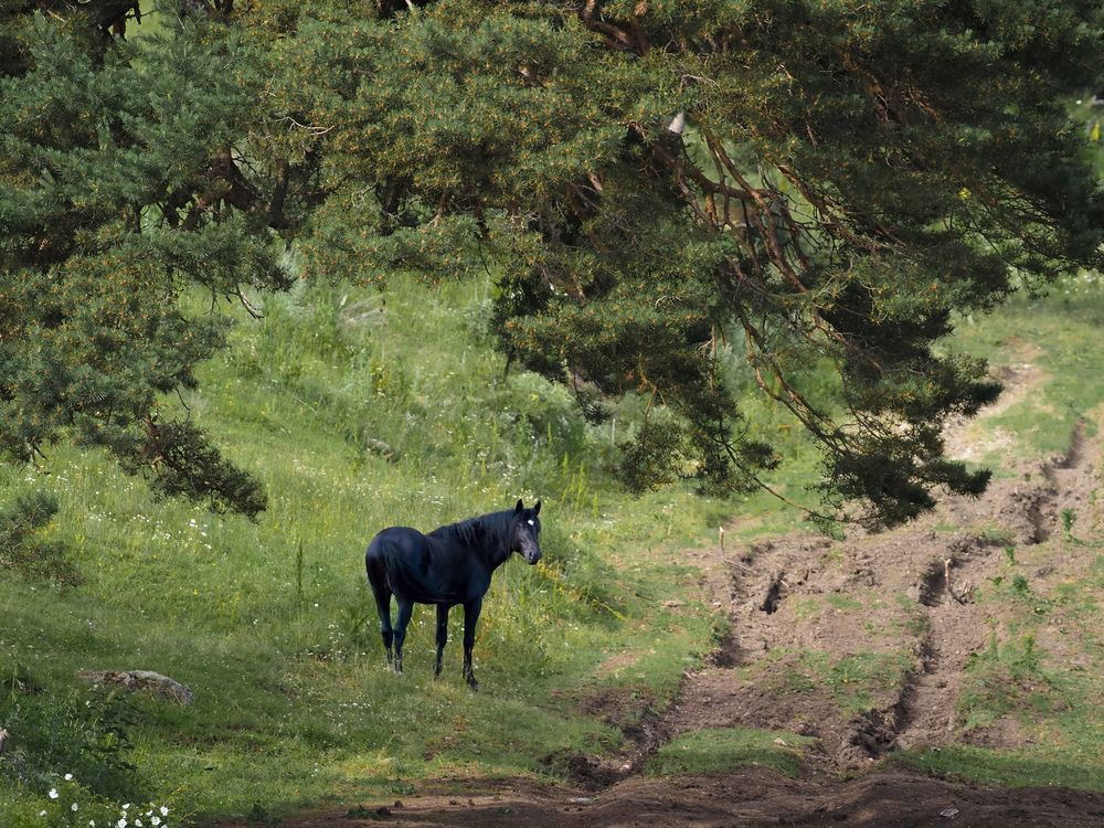 Photograph by Анна Теплицкая