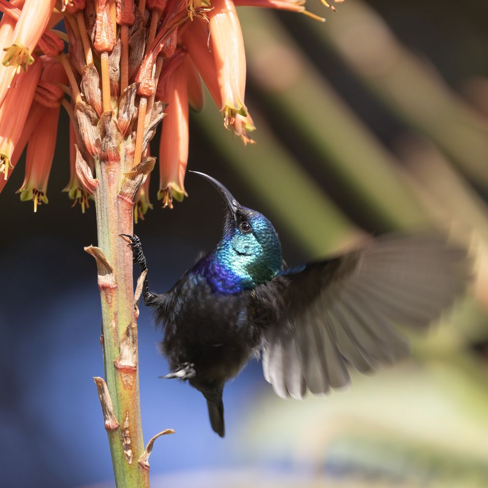 Photograph by pavel chtein