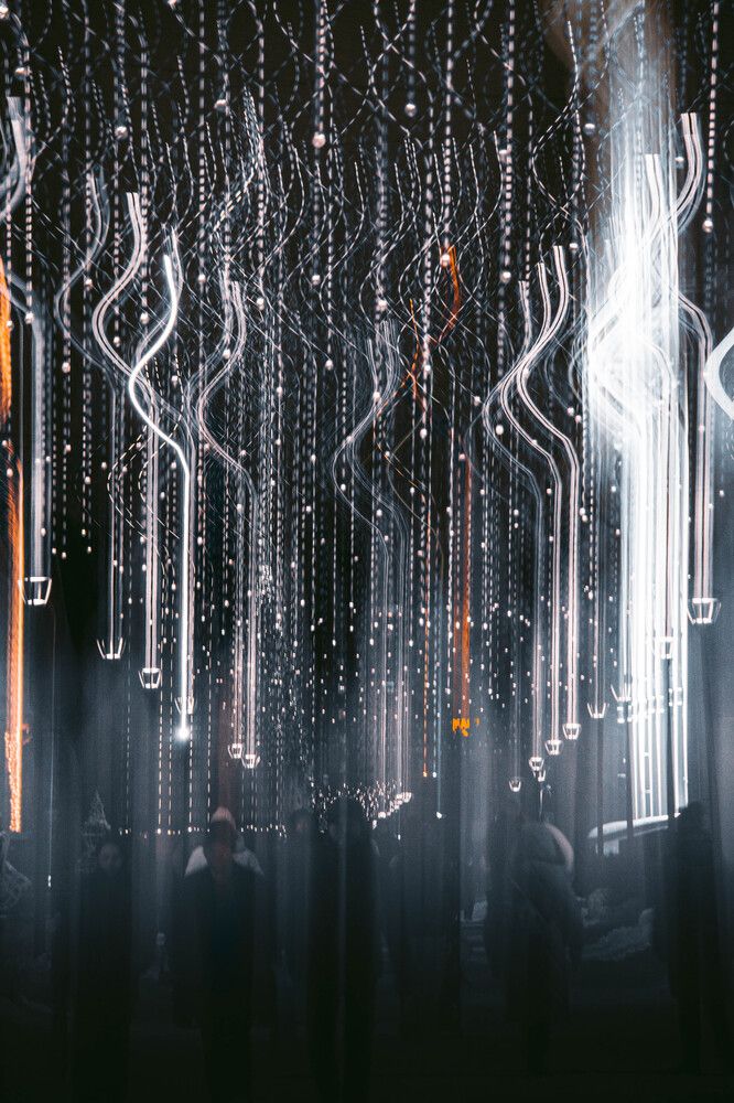 Фотография автора Евгений Шубин