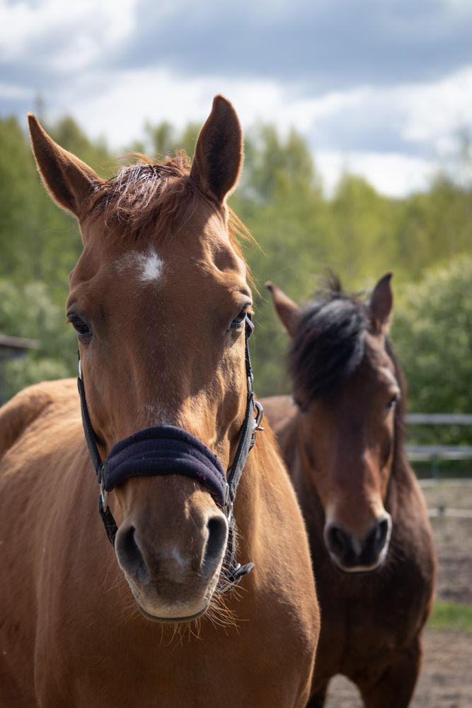 Photograph by Света Трифоненкова