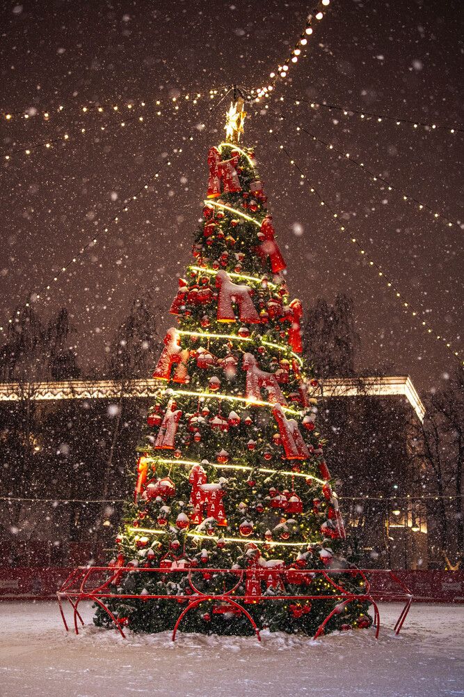 Photograph by Леонид Мартенс