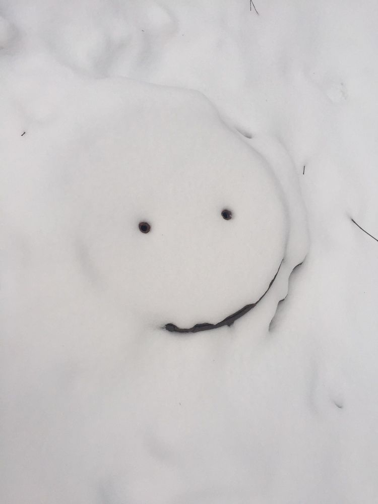 Фотография автора Анастасия Лившиц