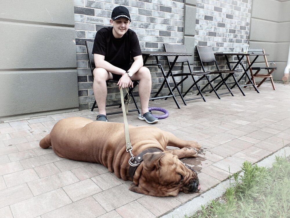 Фотография автора Татьяна Мишкина