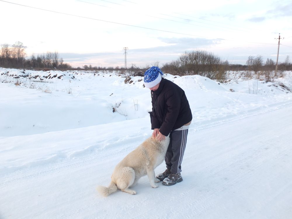 Фотография автора Татьяна Мишкина