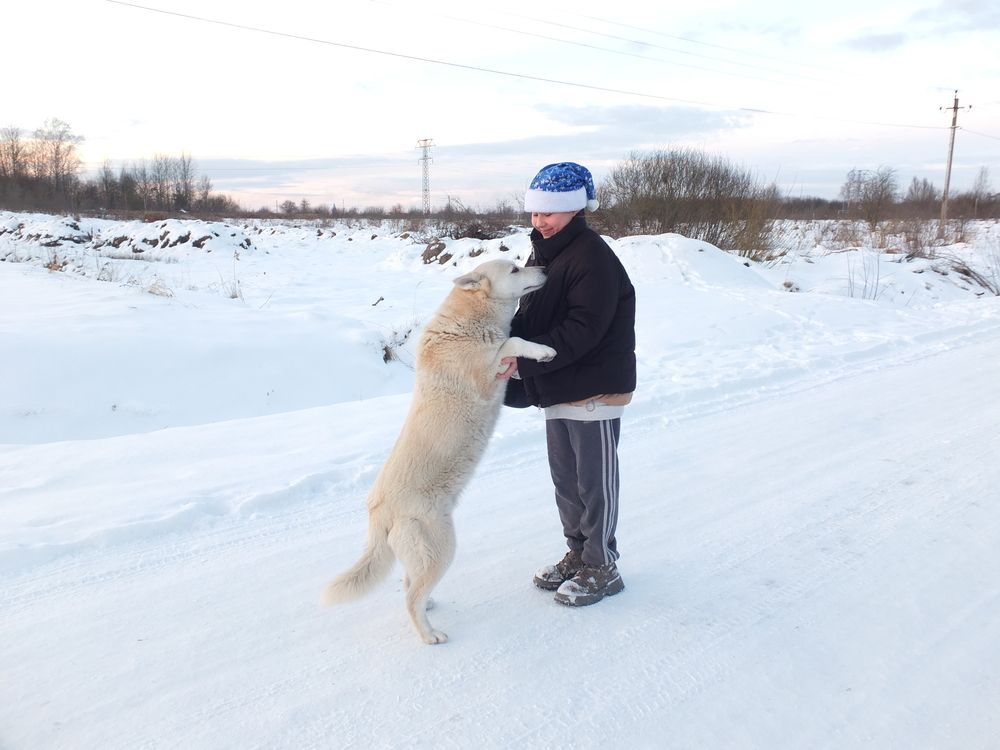 Фотография автора Татьяна Мишкина