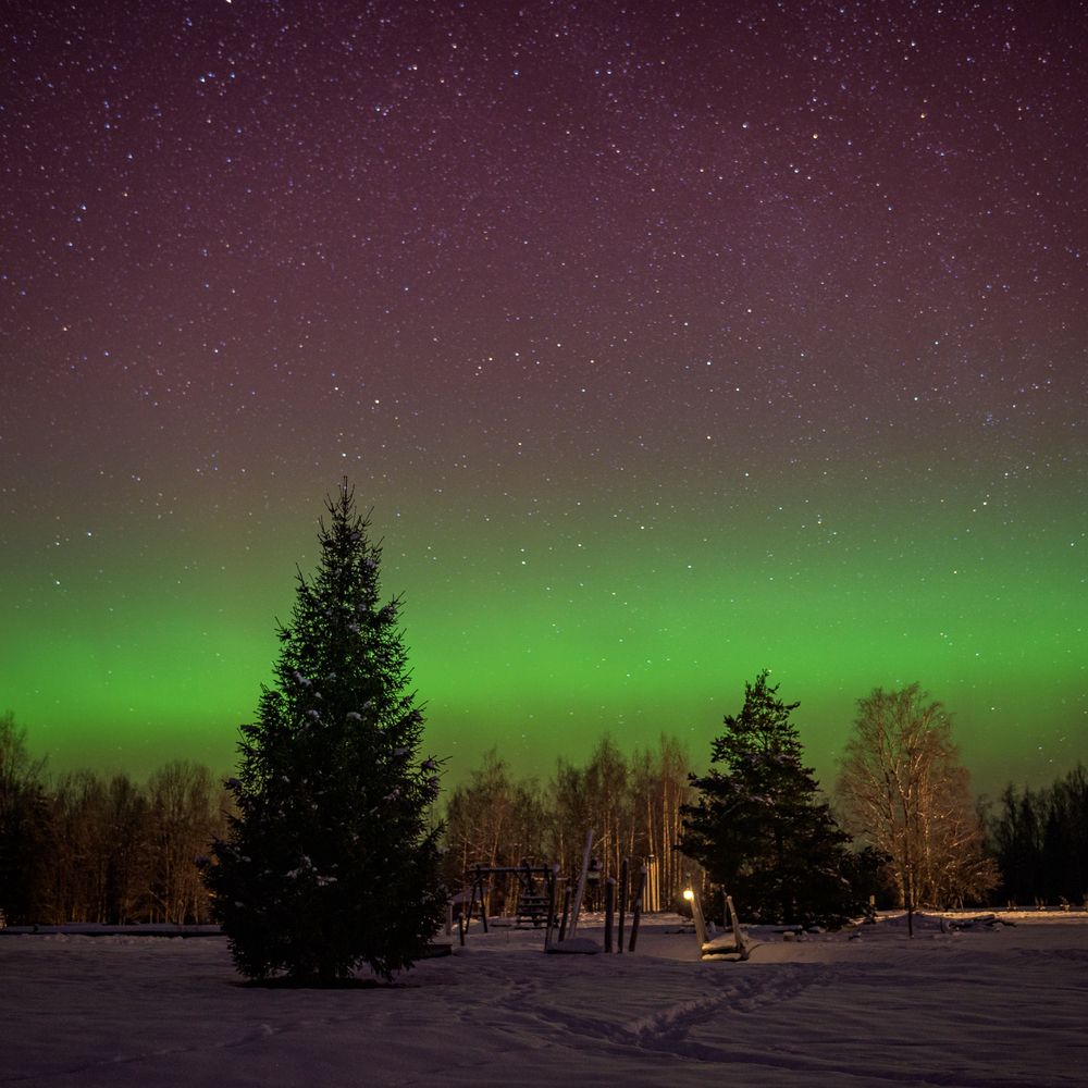 Photograph by Антон Бабичев