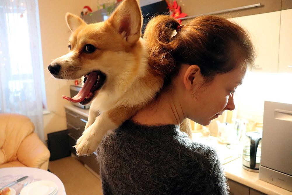 Photograph by Александр Лазебник