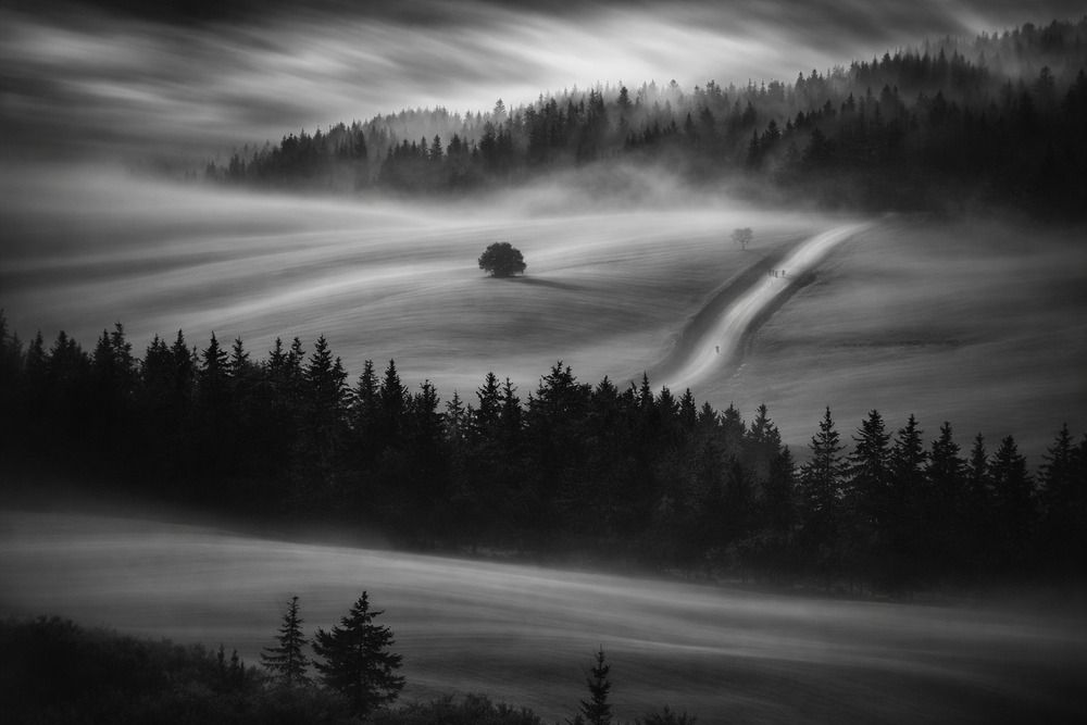 Photograph by Karim Bouchareb