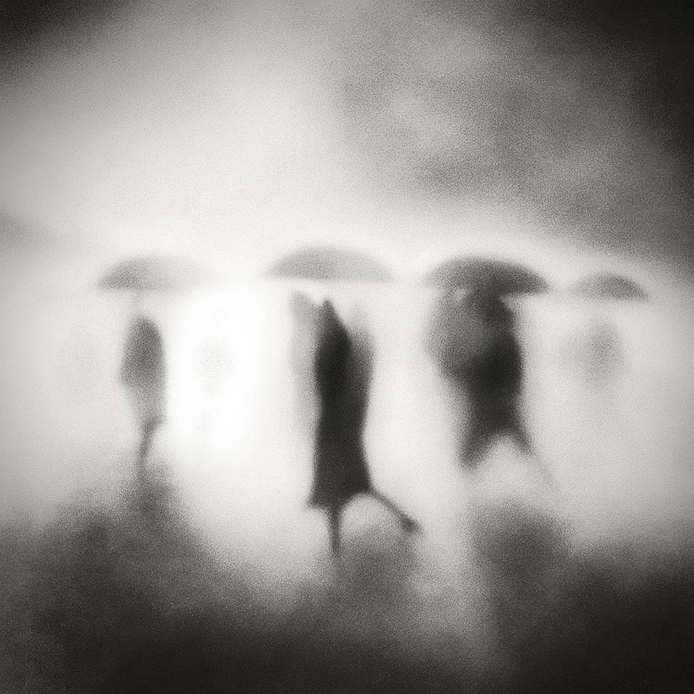 Photograph by Karim Bouchareb