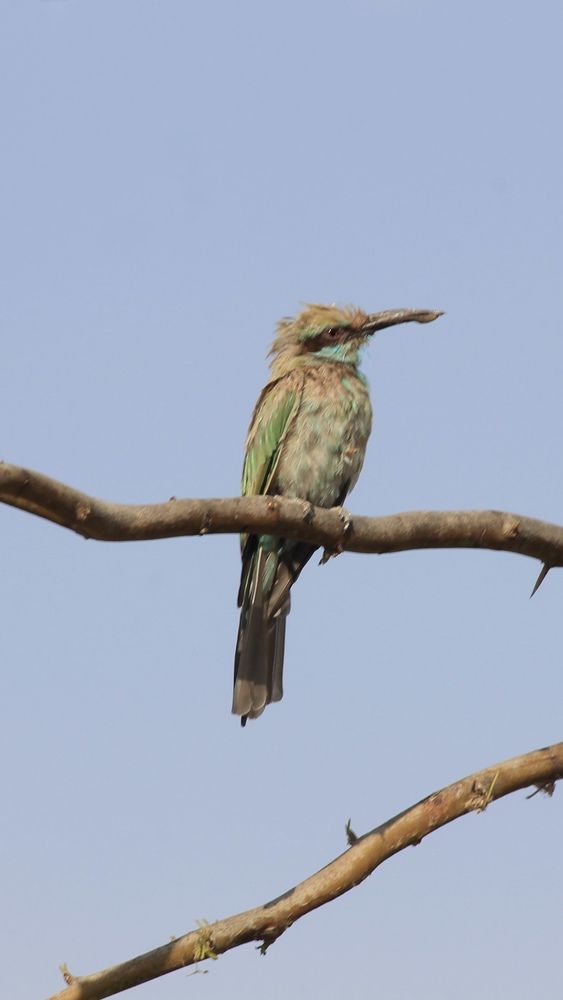 Photograph by Waleed Yousuf Alwahaibi