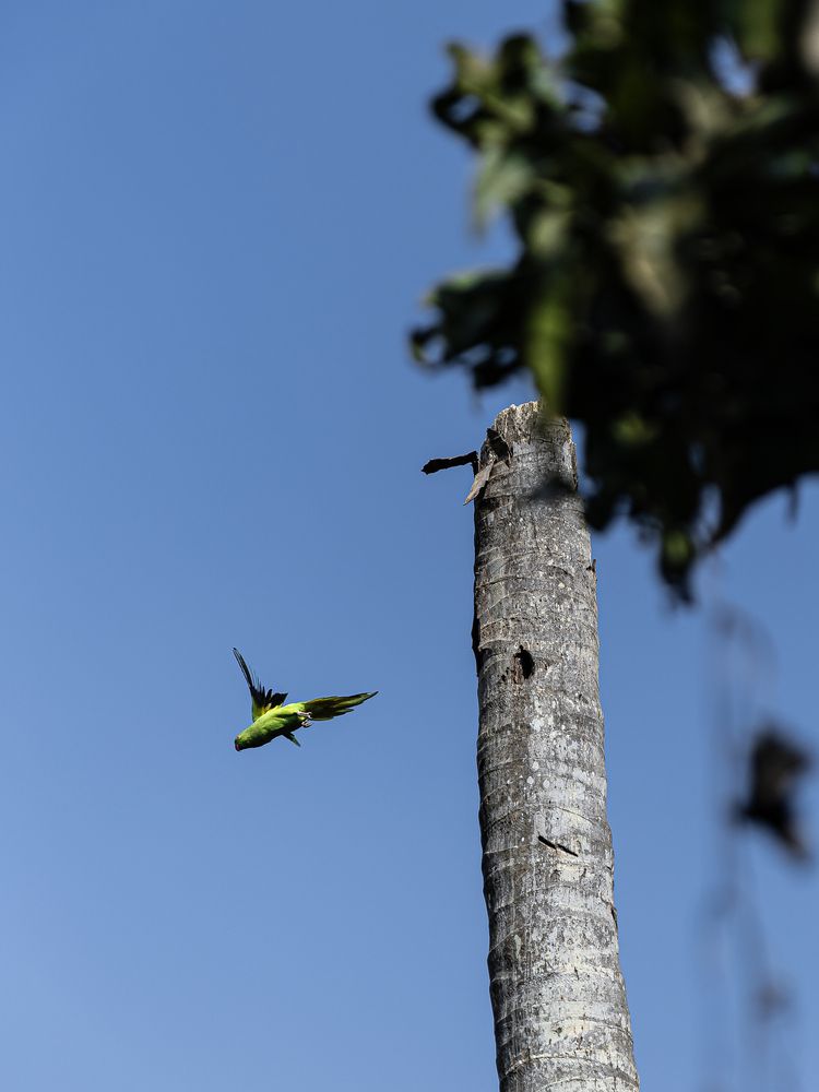 Фотография автора Shuvadeep Paul