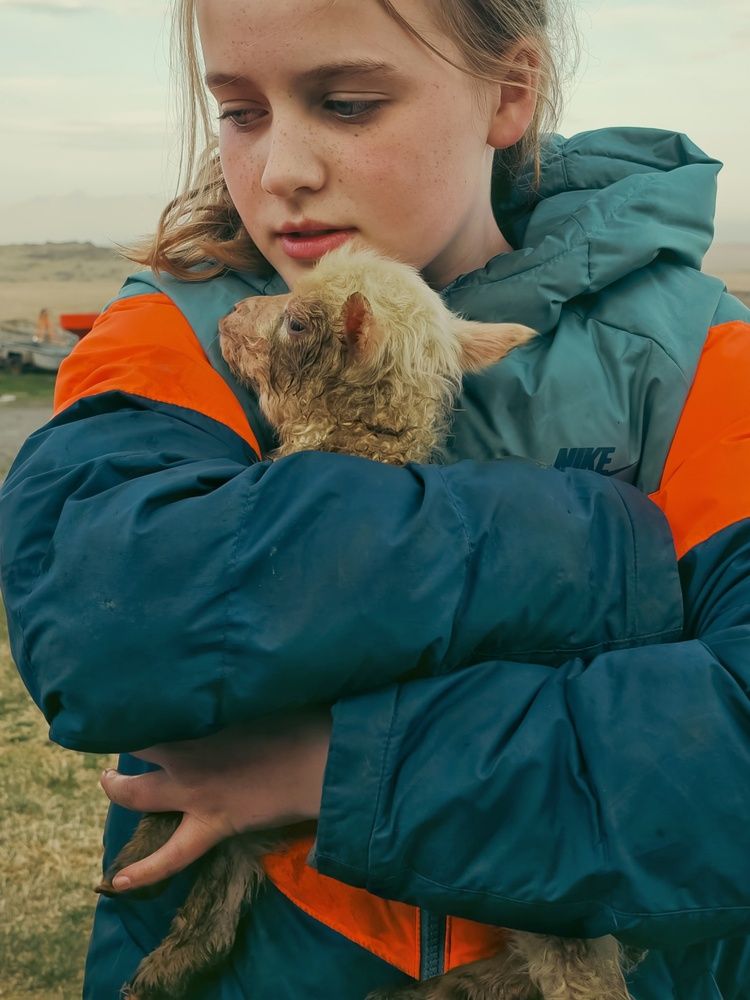 Photograph by Татьяна Соколовская