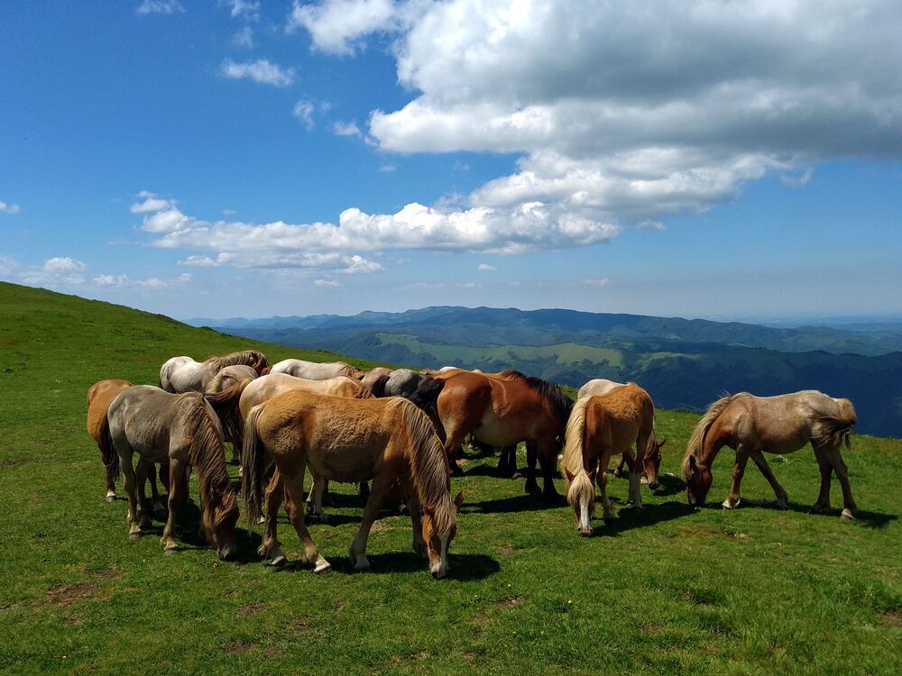 Photograph by Liliya Slavcheva