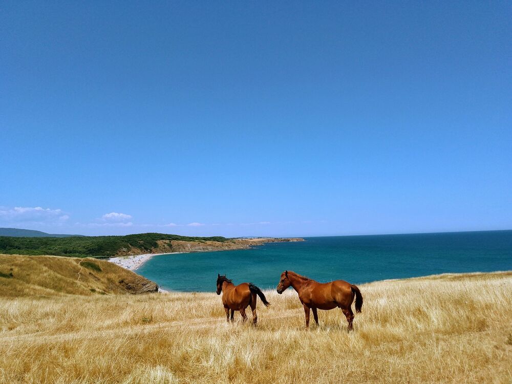 Photograph by Liliya Slavcheva