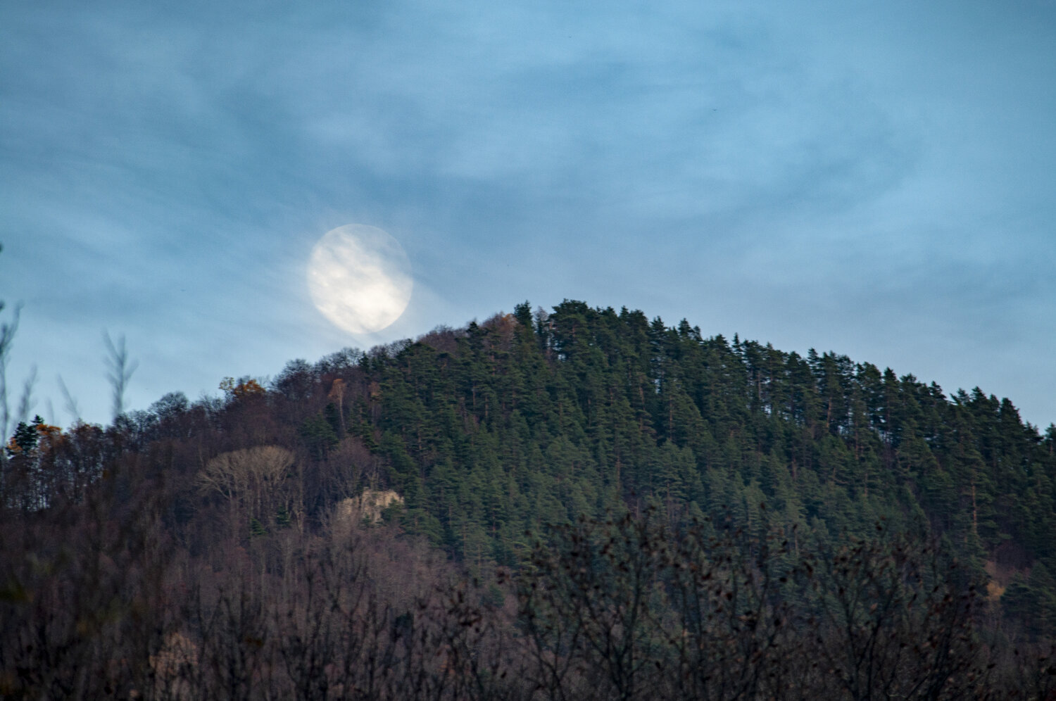 Photo #13124014