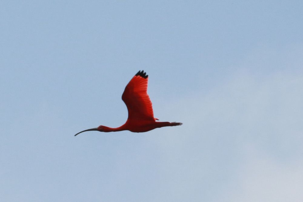 Photograph by Marco Silva