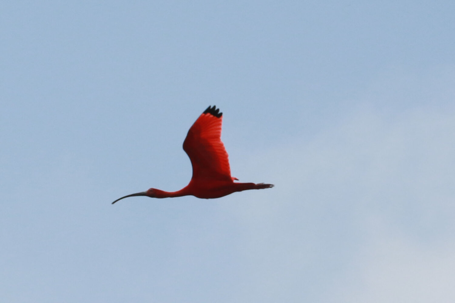 Photo #13124025