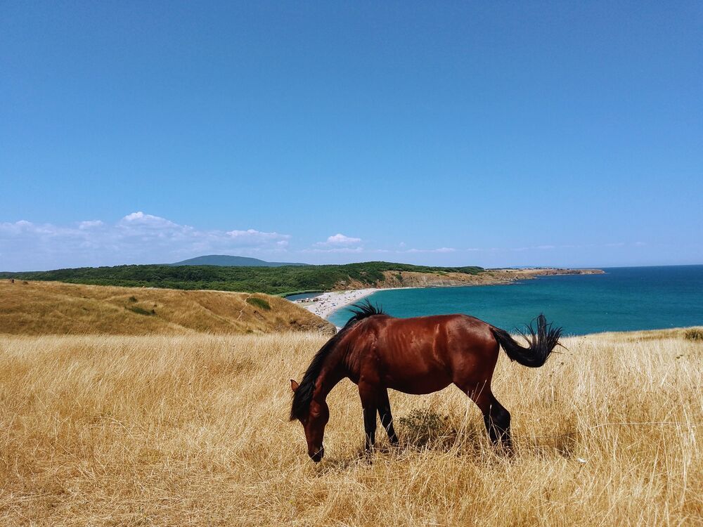 Photograph by Liliya Slavcheva