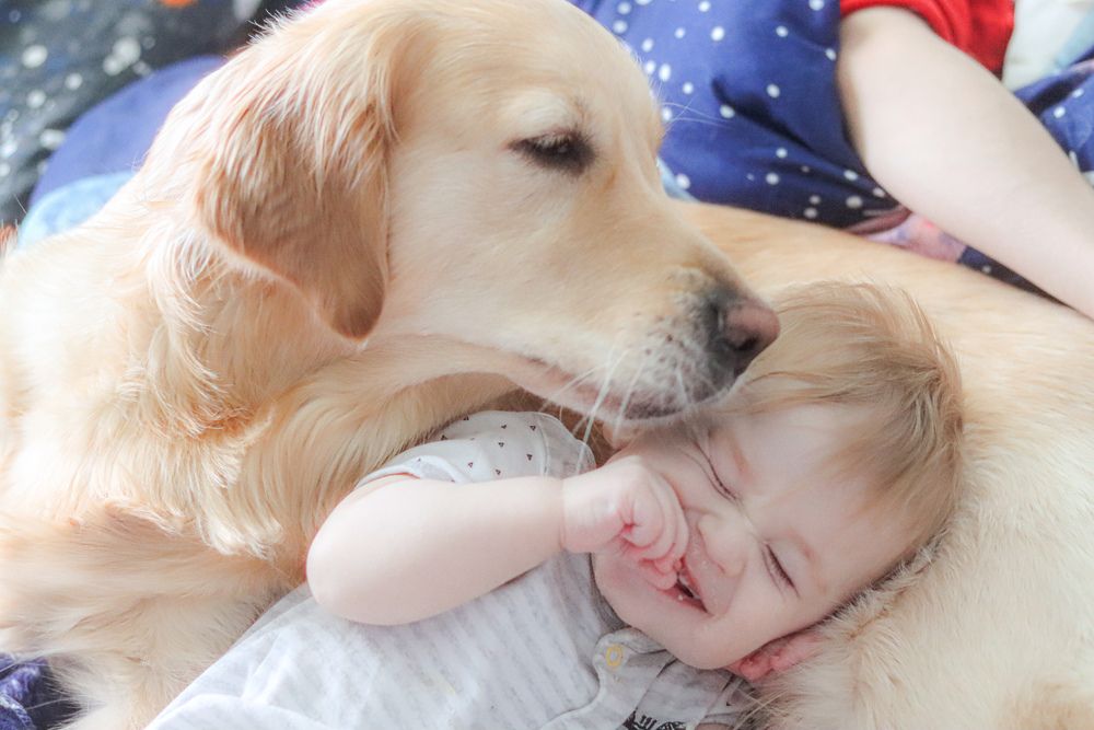 Photograph by Аня Проскурякова