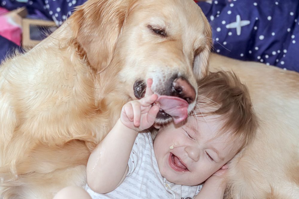 Photograph by Аня Проскурякова