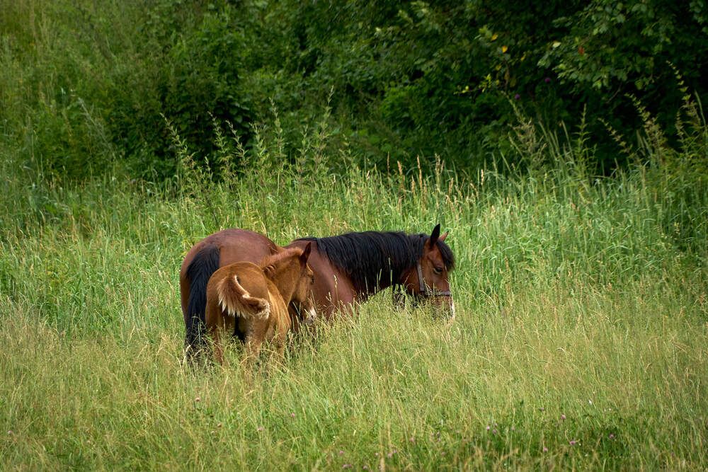 Фотография автора Dana Korolkova
