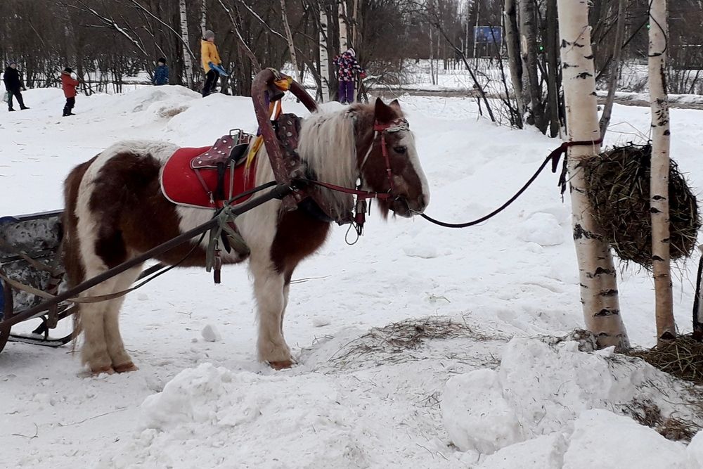 Photograph by Ольга Березовская